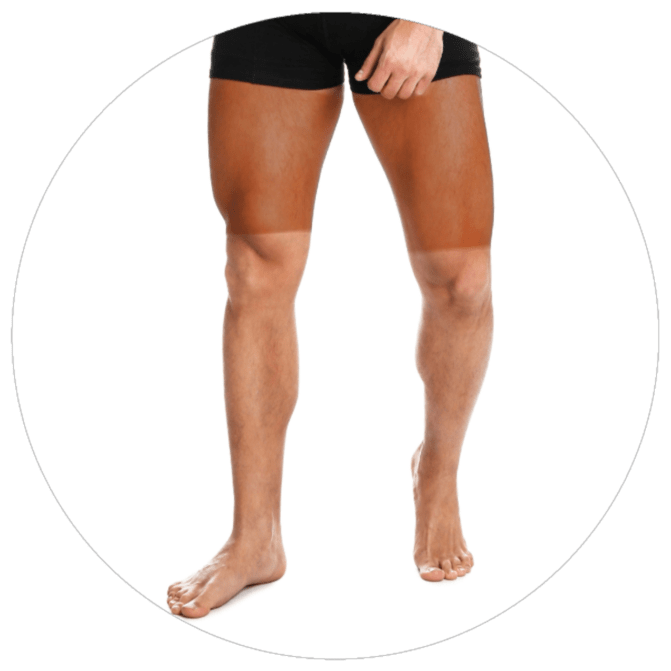 Muslo anterior
